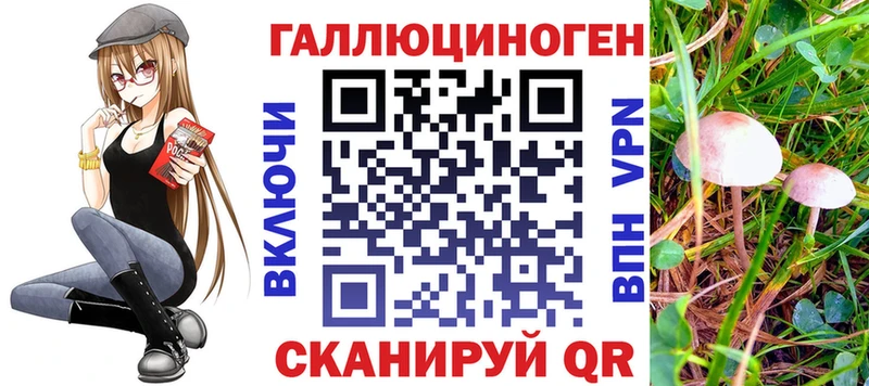 Галлюциногенные грибы Cubensis Ленинск-Кузнецкий