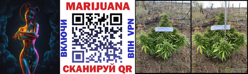 Бошки Шишки OG Kush  Ленинск-Кузнецкий 
